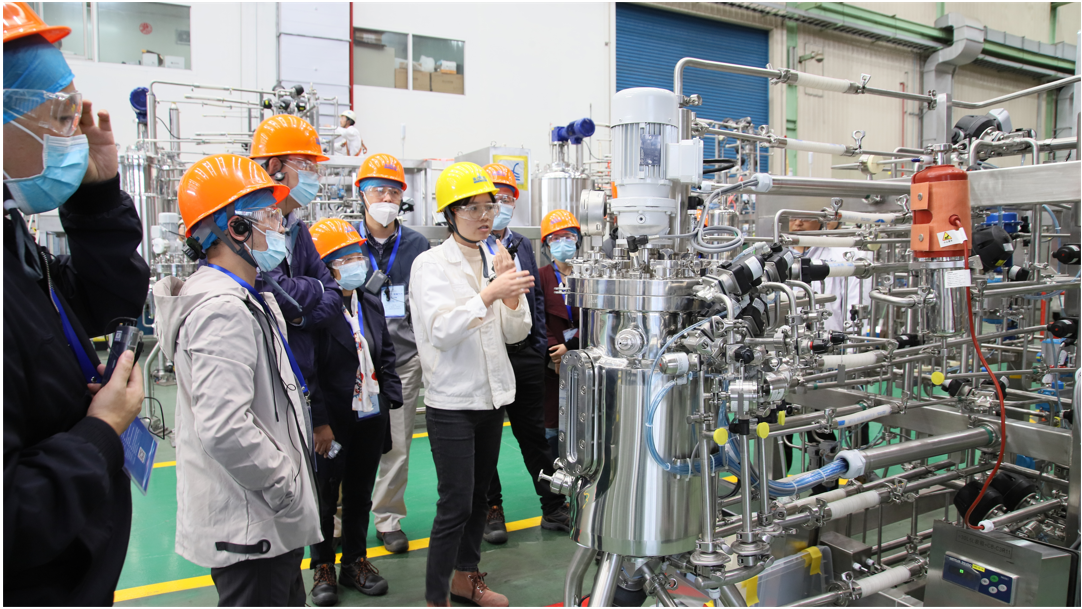 1636434718153184.png 1636434718153184.png