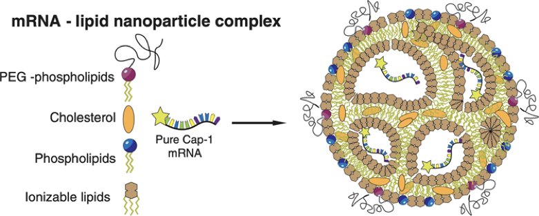 1654830428212815.jpg 1654830428212815.jpg