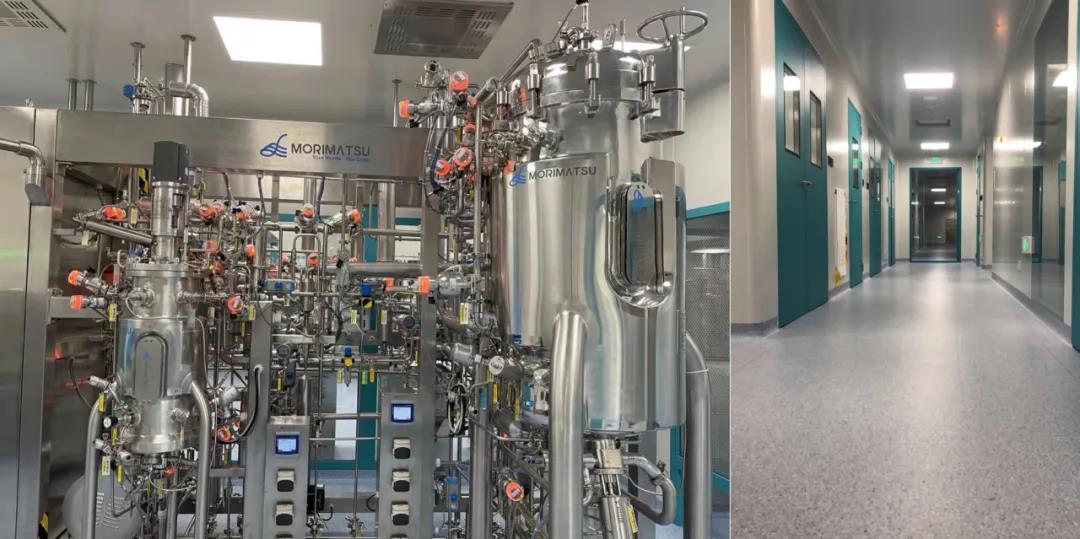 1630631908954923.jpg 1630631908954923.jpg